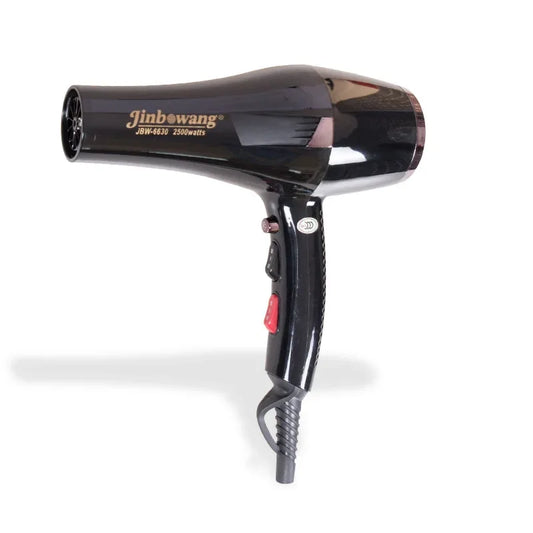 High Power Hair Dryer Cross Border Wave King 6630 Negative Ion Electric Hair Dryer For Professional Styling Home Use